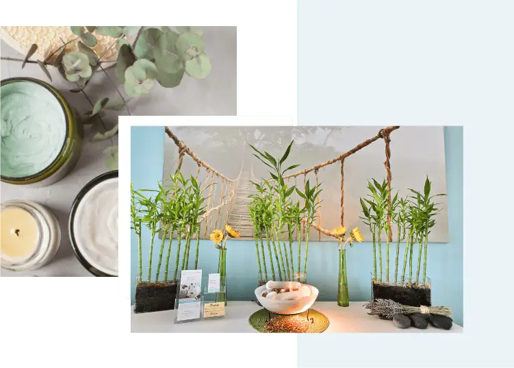 Welcome table with plants, hot towels, and brochures for facials Boca Raton..