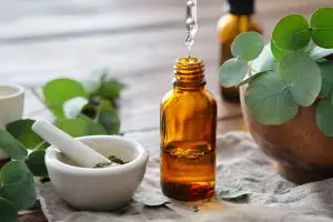 Eucalyptus Essential Oil