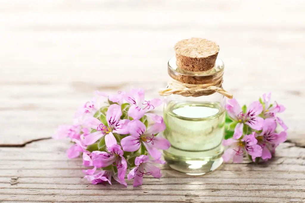 Geranium Essential Oil bottle with flowers