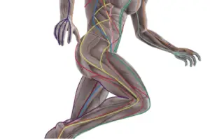 Myofasical release demonstration