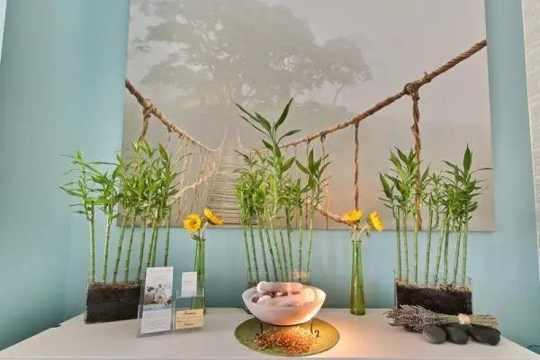 Welcoming spa services brochures, towels, and display for clients at Balance Spa Boca Raton